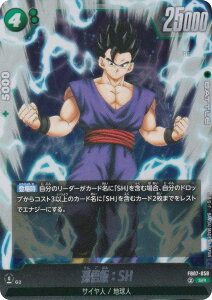 hS{[X[p[J[hQ[ FB07-058 сFSH (SR X[p[A) t[W[h u[X^[pbN _ւ̊肢