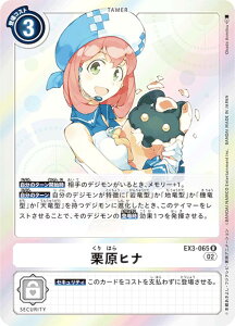 fWJ[hQ[ EX3-065 Iqi (R A) e[}u[X^[ hSYA (EX-03)