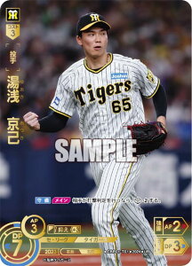 ypzh[I[_[ CBP01-T01 @ _^CK[X (UR EgA) v싅J[hQ[ ZE[O u[X^[pbN 2024 Vol.1