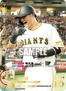 yXyVpzh[I[_[ CBP02-G02 g@P ǔWCAc (SP XyV) v싅J[hQ[ ZE[O u[X^[pbN 2024 Vol.2