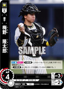 h[I[_[ CSD01-T05 ~@Y _^CK[X (C R) v싅J[hQ[ X^[gfbL