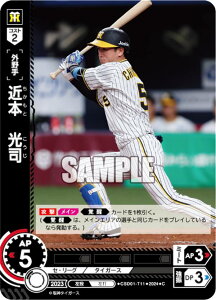 h[I[_[ CSD01-T11 ߖ{@i _^CK[X (C R) v싅J[hQ[ X^[gfbL