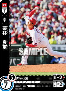 h[I[_[ CSD02-C04 Iс@Ǘ LmJ[v (C R) v싅J[hQ[ X^[gfbL