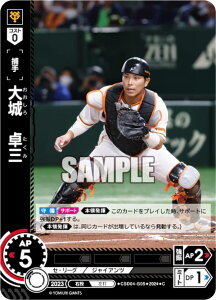 h[I[_[ CSD04-G05 @O ǔWCAc (C R) v싅J[hQ[ X^[gfbL