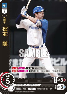 h[I[_[ PBP01-F02 {@ kC{nt@C^[Y (SR X[p[A) v싅J[hQ[ pE[O u[X^[pbN 2024 Vol.1