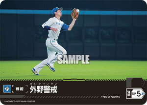 h[I[_[ PDO-05 Ox kC{nt@C^[Y (C R) v싅J[hQ[ pE[O u[X^[pbN 2024 Vol.1