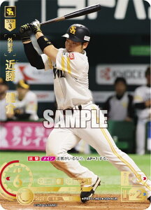 ypzh[I[_[ PBP01-H02 ߓ@ \tgoNz[NX (UR EgA) v싅J[hQ[ pE[O u[X^[pbN 2024 Vol.1