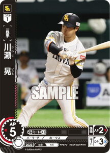 ypzh[I[_[ PBP01-H05 쐣@W \tgoNz[NX (RH Az) v싅J[hQ[ pE[O u[X^[pbN 2024 Vol.1