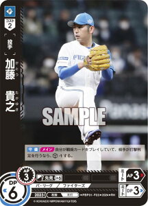 ypzh[I[_[ PBP01-F03 @MV kC{nt@C^[Y (RH Az) v싅J[hQ[ pE[O u[X^[pbN 2024 Vol.1