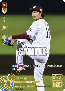 ypzh[I[_[ PBP02-E01 ݁@FV kyVS[fC[OX (UR EgA) v싅J[hQ[ pE[O u[X^[pbN 2024 Vol.2