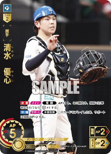 yXyVpzh[I[_[ PBP02-F04 @DS kC{nt@C^[Y (SP XyV) v싅J[hQ[ pE[O u[X^[pbN 2024 Vol.2