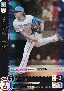 h[I[_[ PBP04-F01 ɓ@C kC{nt@C^[Y (SR X[p[A) v싅J[hQ[ pE[O u[X^[pbN 2024 Vol.4