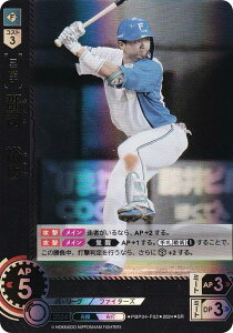 h[I[_[ PBP04-F02 Si@T kC{nt@C^[Y (SR X[p[A) v싅J[hQ[ pE[O u[X^[pbN 2024 Vol.4