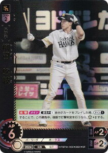 h[I[_[ PBP04-H02 c@I \tgoNz[NX (SR X[p[A) v싅J[hQ[ pE[O u[X^[pbN 2024 Vol.4