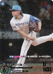 ypzh[I[_[ PBP04-F01 ɓ@C kC{nt@C^[Y (UR EgA) v싅J[hQ[ pE[O u[X^[pbN 2024 Vol.4