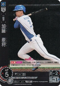 ypzh[I[_[ PBP04-F03 @ kC{nt@C^[Y (RH Az) v싅J[hQ[ pE[O u[X^[pbN 2024 Vol.4