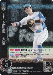 ypzh[I[_[ PBP04-F04 씨@ kC{nt@C^[Y (RH Az) v싅J[hQ[ pE[O u[X^[pbN 2024 Vol.4