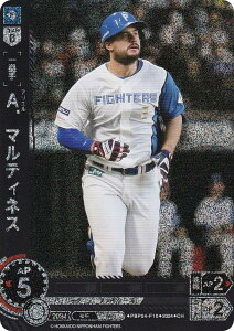 ypzh[I[_[ PBP04-F10 AD}eBlX kC{nt@C^[Y (CH Rz) v싅J[hQ[ pE[O u[X^[pbN 2024 Vol.4