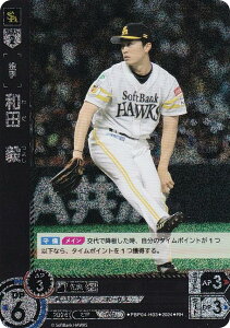 ypzh[I[_[ PBP04-H03 ac@B \tgoNz[NX (RH Az) v싅J[hQ[ pE[O u[X^[pbN 2024 Vol.4