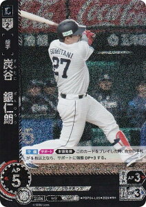 ypzh[I[_[ PBP04-L05 YJ@mN ʐCIY (RH Az) v싅J[hQ[ pE[O u[X^[pbN 2024 Vol.4