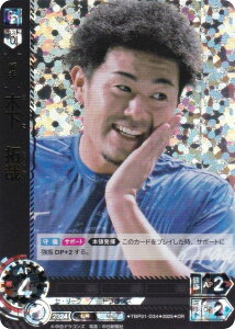 ypzh[I[_[ TBP01-D34 ؉@ hSY (OR IWiA) v싅J[hQ[ cu[X^[ ̈Ӓn