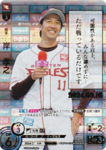 yXyVpzh[I[_[ TBP01-E06 ݁@FV kyVS[fC[OX (SP XyV) v싅J[hQ[ cu[X^[ Vh