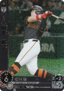 ypzh[I[_[ TBP01-G21 {@a^ ǔWCAc (OR IWiA) v싅J[hQ[ cu[X^[ Es̋l