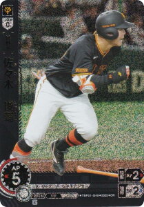 ypzh[I[_[ TBP01-G49 X؁@r ǔWCAc (OR IWiA) v싅J[hQ[ cu[X^[ Es̋l