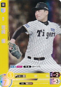 ypzh[I[_[ BP01-T05 @D _^CK[X (OR IWiA) v싅J[hQ[ 12cu[X^[ HEROES of 2025