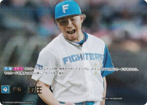 yXyVpzh[I[_[ BP01/PDO-13 Ј kC{nt@C^[Y (SP XyV) v싅J[hQ[ 12cu[X^[ HEROES of 2025