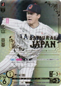 ypzh[I[_[ PB01-SJ11 kR@j kC{nt@C^[Y (SJSP WpXyV) v싅J[hQ[ v~Au[X^[ Wp