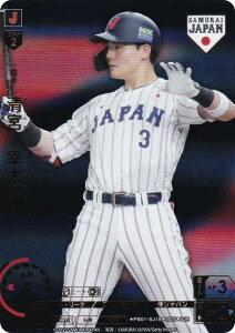 yp/rW^[ver.zh[I[_[ PB01-SJ18 {@KY kC{nt@C^[Y (SJR WpA) v싅J[hQ[ v~Au[X^[ Wp