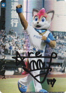 yXyVpzh[I[_[ TBP01/TIME-F12 tbvEUEtHbNX kC{nt@C^[Y (TP{ ^C|CgvX) v싅J[hQ[ cu[X^[ FIGHTERS GLORY