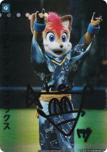 yXyVpzh[I[_[ TBP01/TIME-F14 tbvEUEtHbNX kC{nt@C^[Y (TP{ ^C|CgvX) v싅J[hQ[ cu[X^[ FIGHTERS GLORY