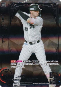 ypzh[I[_[ TBP01-M09 ND\g tbe}[Y (OSR IWiX[p[A) v싅J[hQ[ cu[X^[ 