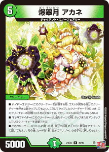 �y�z�C���Łz�f���G���}�X�^�[�Y DM24EX3 36/80 ������ �A�J�l (R ���A) �h�������f���G�i�}�C�g�p�b�N (DM24-EX3)