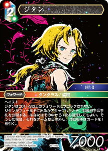 yv~Azt@Cit@^W[TCG 19-108L W^ (L WFh) u[X^[pbN 藈 Opus 19