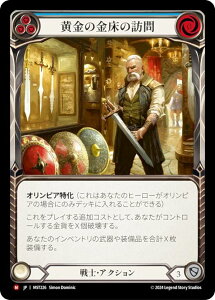 �t���b�V�����u���b�h JP MST 226 �����̋����̖K�� (���{��� M �}�W�F�X�e�B�b�N) Flesh and Blood ���B�̔鋫