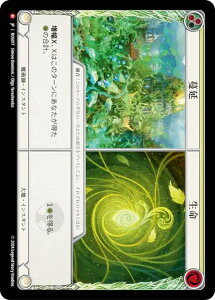 �t���b�V�����u���b�h JP ROS JP 017 ���� / ���� (���{��� M �}�W�F�X�e�B�b�N) Flesh and Blood ���[�b�^ Rosetta
