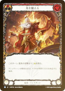 �y���C���{�[�EFOIL�z�t���b�V�����u���b�h HNT JP 156 ���𐘂��� (���{��� R ���A) Flesh and Blood ���]�̉a�H