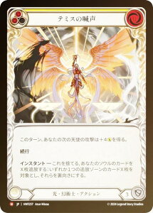 �y���C���{�[�EFOIL�z�t���b�V�����u���b�h HNT JP 257 �e�~�X�̚^�� (���{��� M �}�W�F�X�e�B�b�N) Flesh and Blood ���]�̉a�H