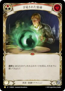 �t���b�V�����u���b�h ANQ JP 033 �\�����ꂽ�h�� (���{��� R ���A) Flesh and Blood ���C�X�p�Y� �A���e�B�L�e�B�[�p�b�N���^