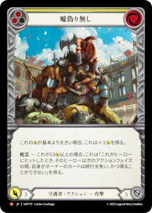 �t���b�V�����u���b�h SUP JP 170 �R�U�薳�� (���{��� M �}�W�F�X�e�B�b�N) Flesh and Blood ��������