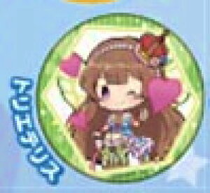 ygGfXz@gƍL̃EBY X^vg[fBOʃobW