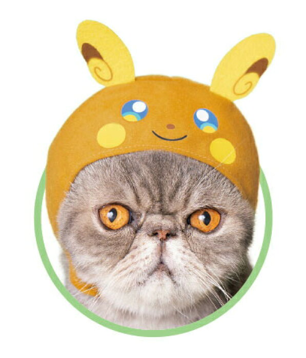 ライチュウ アローラのすがた カプセル かわいいかわいい ねこのかぶりもの ポケットモンスター Vol 2 Product Details Japanese Proxy Shopping Service From Japan