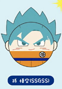 y (SSGSS) zDB-109 hS{[ ݂JvZ