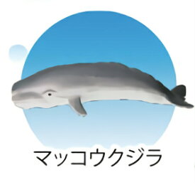 【マッコウクジラ】 海洋生物大集合 ミニフィギュアコレクション (2019年2月版)