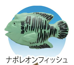 yi|ItBbVz CmW ~jtBMARNV (2019N2)