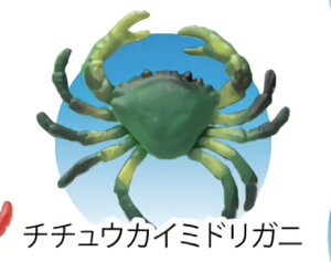 y``EJC~hKjz CmW ~jtBMARNV (2019N2)