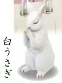 【白うさぎ】 合掌 2拝
